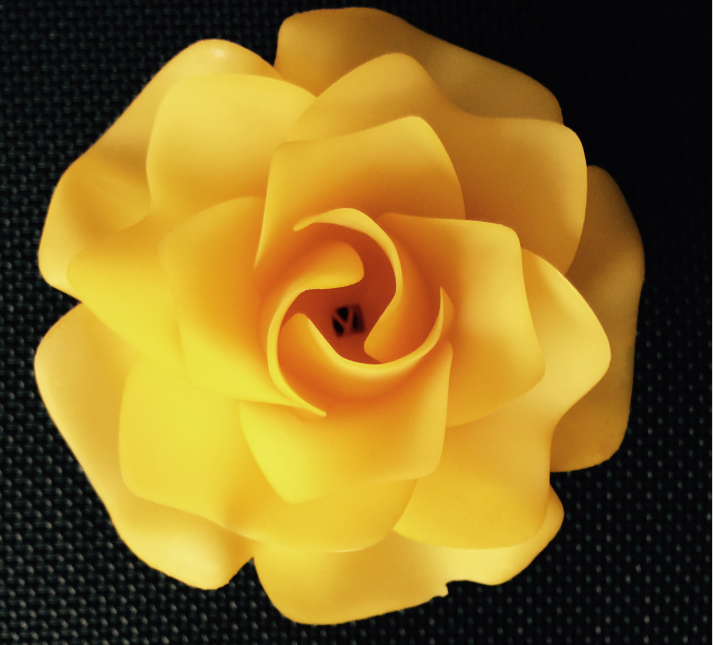 1560925347136548.png image.png